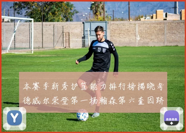 本赛季新秀护筐能力排行榜揭晓考德威尔荣登第一杨瀚森第六奎因跻身前十